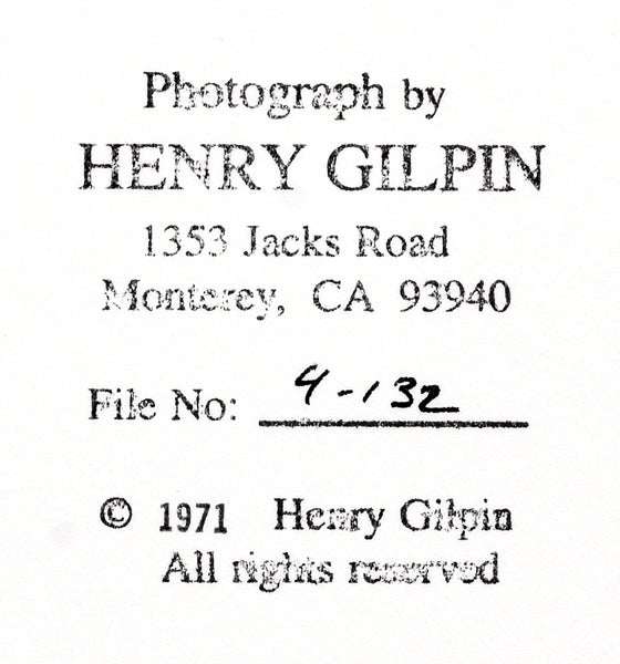 Henry Gilpin - Bristlecone Pine - Very Adams Like