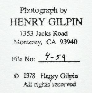 Henry Gilpin - Mount McKinley, 1967 - Very Adams Like
