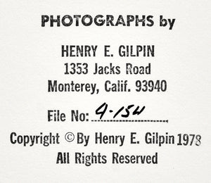 Henry Gilpin - Fallen Tree in Water