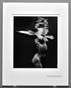 Brett Weston - Underwater Nude, 1980 - 10.5"x12.5" Photograph