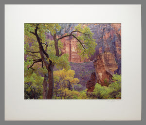 Richard Garrod - Temple of Sinawava, Zion National Park