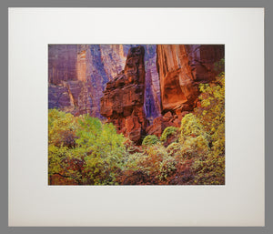 Richard Garrod - Zion National Park