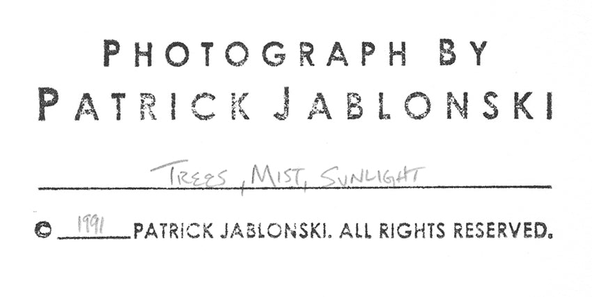 Patrick Jablonski - Trees, Mist, Sunlight, 1991