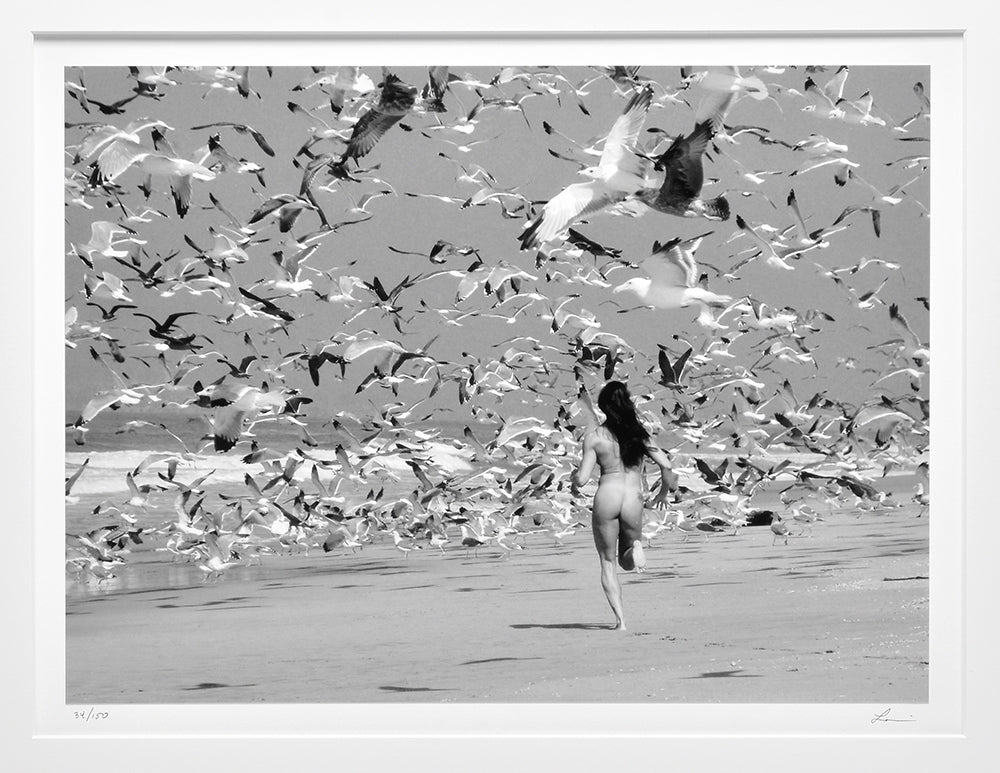 Russell Levin - Erin Running With The Gulls, Monterey Bay, 2013