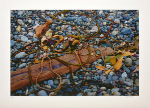 William Abbott  - Rocks, Driftwood & Kelp, Point Lobos, 2001