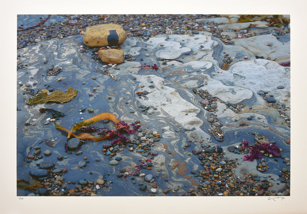 William Abbott - Rocks, Pebbles & Kelp, Point Lobos, 2001 – Russell ...