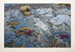 William Abbott  - Rocks, Pebbles & Kelp, Point Lobos, 2001