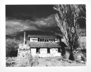 William Abbott  - Abandon House with Trees, Near Bishop, California, 2002