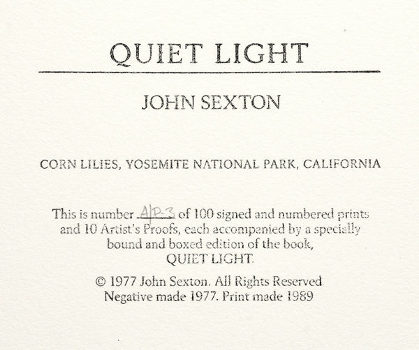 John Sexton - Corn Lilies, Yosemite National Park, California