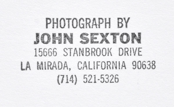 John Sexton - Corn Lily, Upper Rock Creek, California