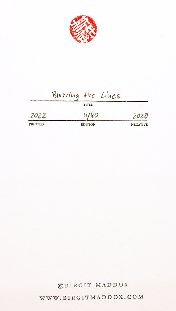 Birgit Maddox,  Blurring The Lines,  2020