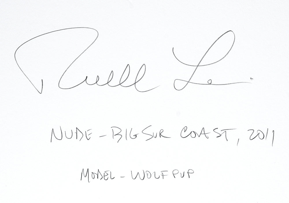 Russell Levin - Nude, Big Sur Coast, 2011