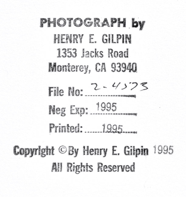 Henry Gilpin - Cobblestone Road & Vines, 1995