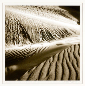 Jack Wasserbach - Oceano Sand Dunes Detail