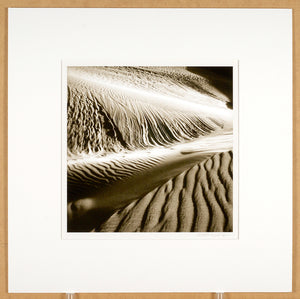 Jack Wasserbach - Oceano Sand Dunes Detail