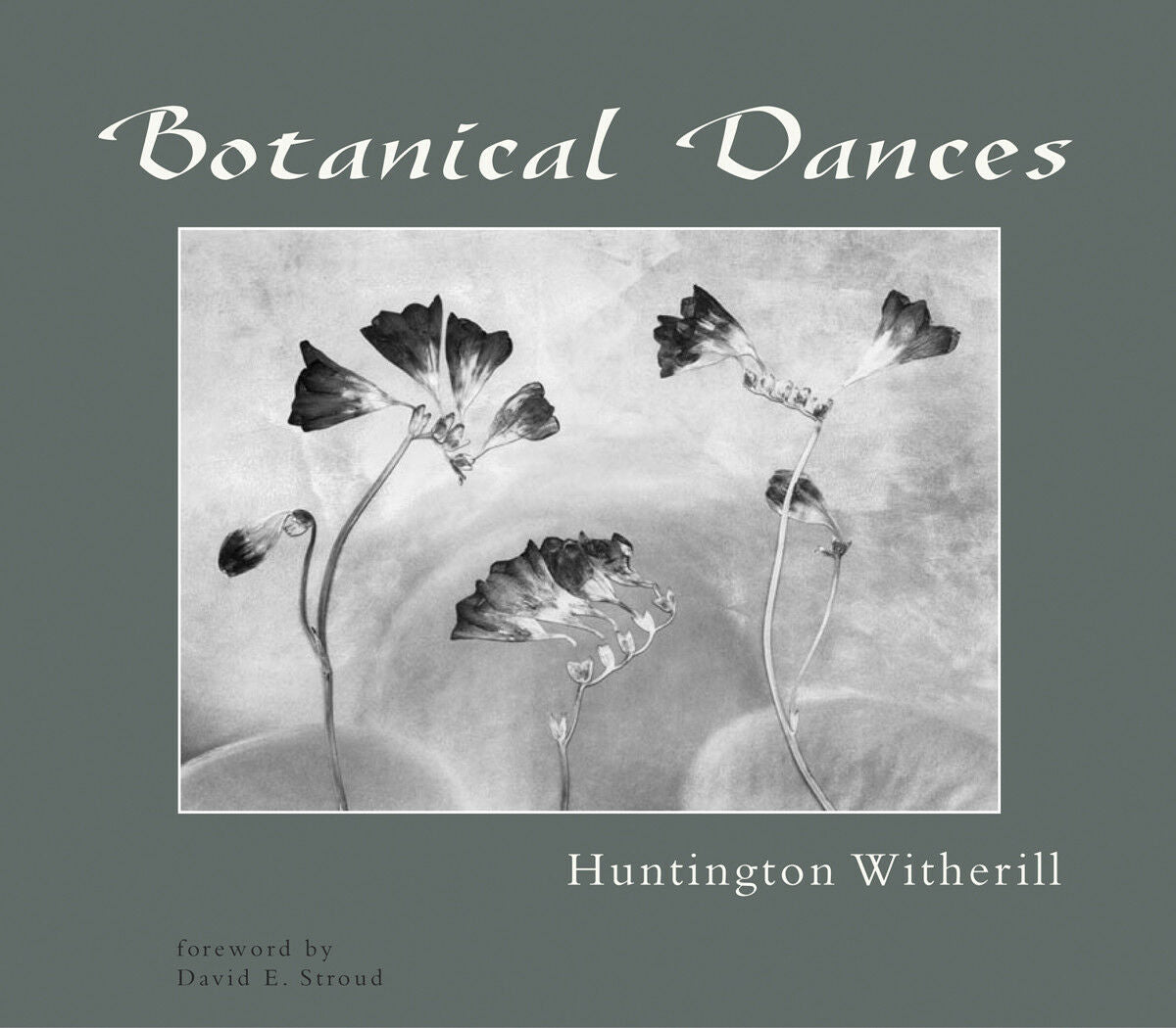 Make offer - Huntington Witherill - Botanical Dancers Book & Photograph