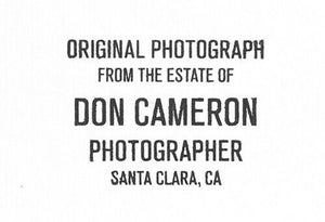 Don Cameron - Ivy & Tree Detail